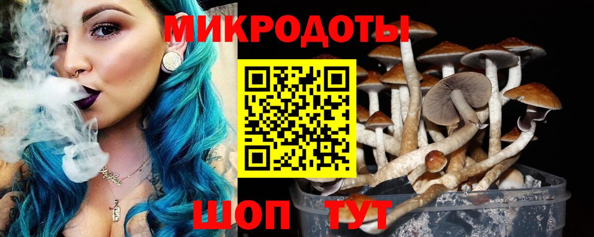 Псилоцибиновые грибы Psilocybe Магнитогорск