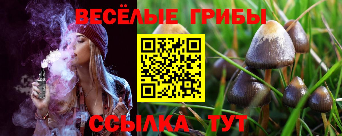 Псилоцибиновые грибы Psilocybine cubensis  Вход с VPN  Псилоцибиновые грибы GOLDEN TEACHER  Магнитогорск 